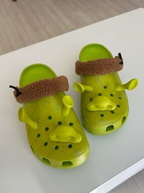 Shrek x Crocs Classic Adult Clog (W 12, M 10)